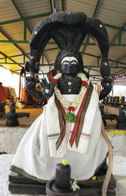 1008sivasithanpeedam